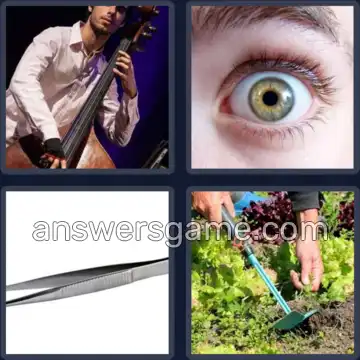 4 Bilder 1 Wort 6 Buchstaben ZUPFEN