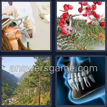 4 Bilder 1 Wort 6 Buchstaben KIEFER