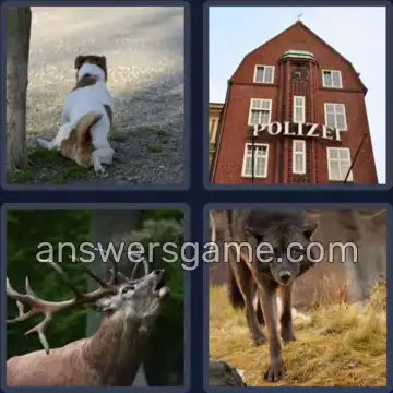 4 Bilder 1 Wort 6 Buchstaben REVIER