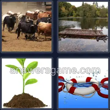 4 Bilder 1 Wort 7 Buchstaben TREIBEN