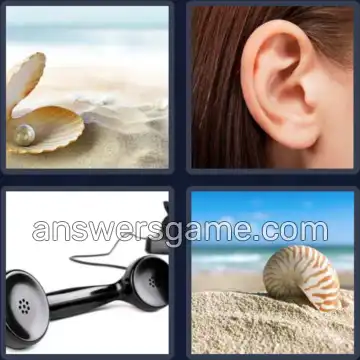 4 Bilder 1 Wort 7 Buchstaben MUSCHEL