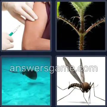 4 Bilder 1 Wort 7 Buchstaben STECHEN