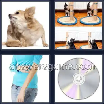 4 Bilder 1 Wort 7 Buchstaben KRATZEN