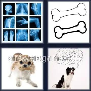 4 Bilder 1 Wort 7 Buchstaben KNOCHEN