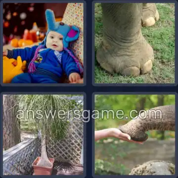 4 Bilder 1 Wort 7 Buchstaben ELEFANT