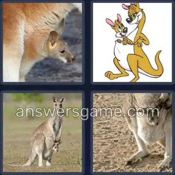 4 Bilder 1 Wort 7 Buchstaben KÄNGURU