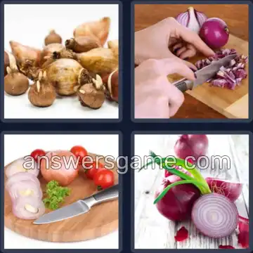 4 Bilder 1 Wort 7 Buchstaben ZWIEBEL