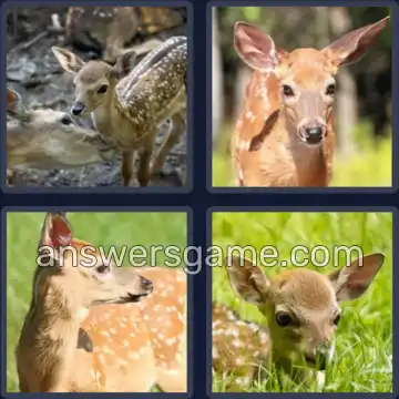 4 Bilder 1 Wort 7 Buchstaben REHKITZ