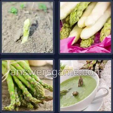 4 Bilder 1 Wort 7 Buchstaben SPARGEL