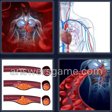 4 Bilder 1 Wort 7 Buchstaben ARTERIE