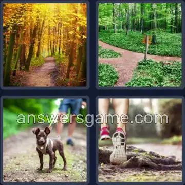 4 Bilder 1 Wort 7 Buchstaben WALDWEG