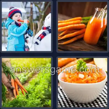 4 Bilder 1 Wort 7 Buchstaben KAROTTE