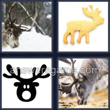 4 Bilder 1 Wort 7 Buchstaben RENTIER