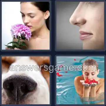 4 Bilder 1 Wort 7 Buchstaben RIECHEN