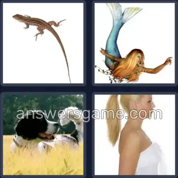 4 Bilder 1 Wort 7 Buchstaben SCHWANZ