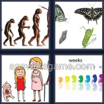 4 Bilder 1 Wort 7 Buchstaben STADIUM