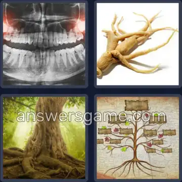 4 Bilder 1 Wort 7 Buchstaben WURZELN