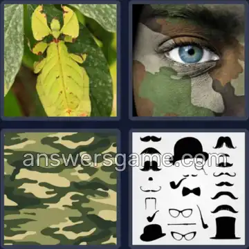 4 Bilder 1 Wort 7 Buchstaben TARNUNG