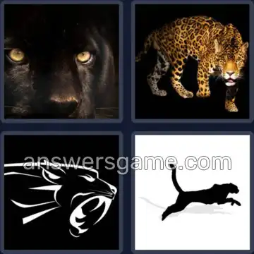 4 Bilder 1 Wort 7 Buchstaben PANTHER