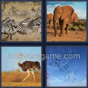 4 Bilder 1 Wort 7 Buchstaben WILDNIS