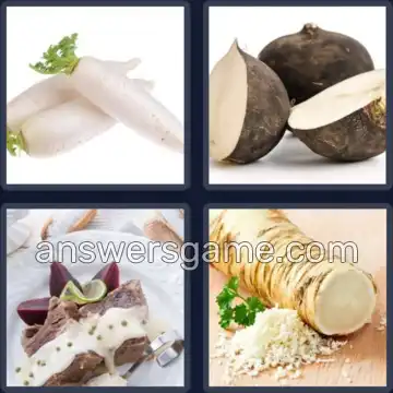 4 Bilder 1 Wort 7 Buchstaben RETTICH