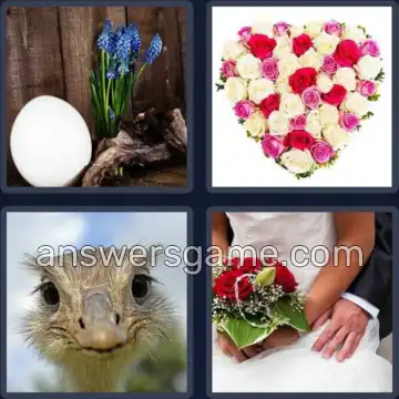 4 Bilder 1 Wort 7 Buchstaben STRAUSS