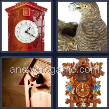 4 Bilder 1 Wort 7 Buchstaben KUCKUCK