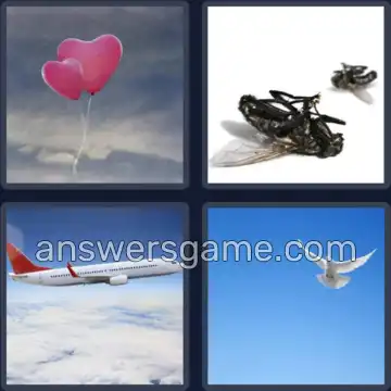 4 Bilder 1 Wort 7 Buchstaben FLIEGEN
