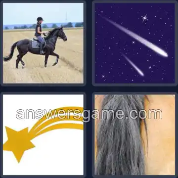 4 Bilder 1 Wort 7 Buchstaben SCHWEIF