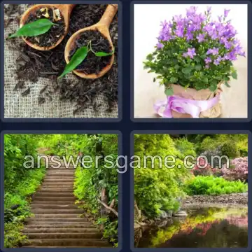 4 Bilder 1 Wort 7 Buchstaben PFLANZE