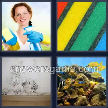 4 Bilder 1 Wort 7 Buchstaben SCHWAMM