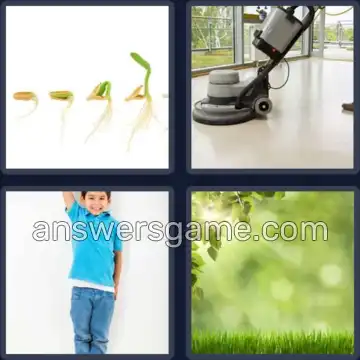 4 Bilder 1 Wort 7 Buchstaben WACHSEN