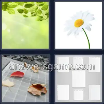 4 Bilder 1 Wort 7 Buchstaben BLÄTTER