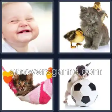 4 Bilder 1 Wort 8 Buchstaben NIEDLICH