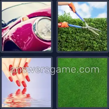 4 Bilder 1 Wort 8 Buchstaben GEPFLEGT