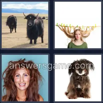 4 Bilder 1 Wort 8 Buchstaben ZOTTELIG