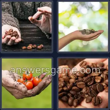 4 Bilder 1 Wort 8 Buchstaben HANDVOLL