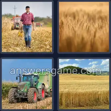 4 Bilder 1 Wort 8 Buchstaben KORNFELD