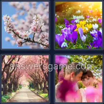 4 Bilder 1 Wort 8 Buchstaben FRÜHLING
