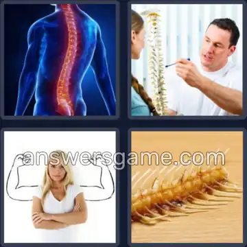 4 Bilder 1 Wort 8 Buchstaben RÜCKGRAT
