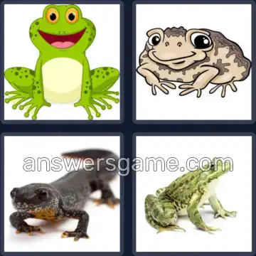 4 Bilder 1 Wort 8 Buchstaben AMPHIBIE