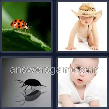 4 Bilder 1 Wort 8 Buchstaben KRABBELN