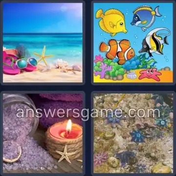 4 Bilder 1 Wort 8 Buchstaben SEESTERN