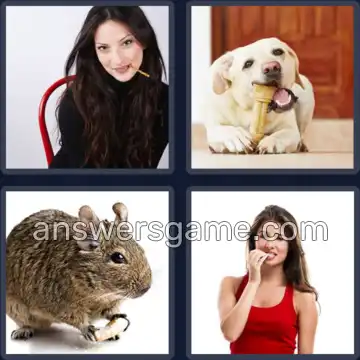 4 Bilder 1 Wort 8 Buchstaben KNABBERN