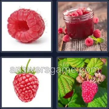 4 Bilder 1 Wort 8 Buchstaben HIMBEERE