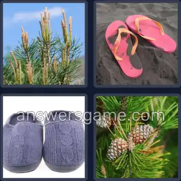 4 Bilder 1 Wort 8 Buchstaben LATSCHEN