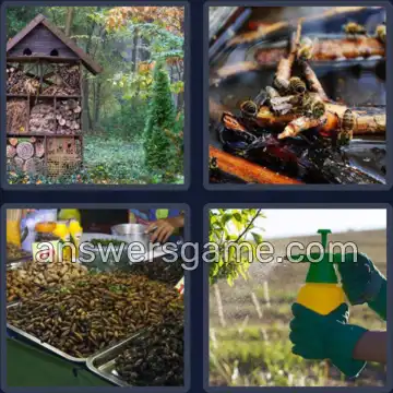 4 Bilder 1 Wort 8 Buchstaben INSEKTEN