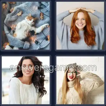 4 Bilder 1 Wort 8 Buchstaben PULLOVER