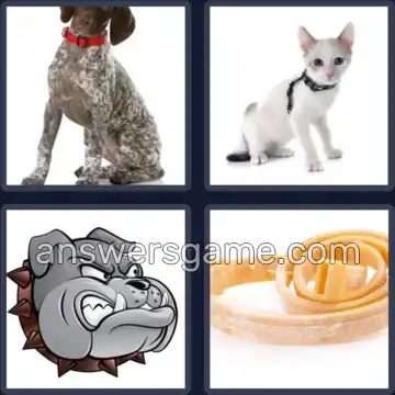 4 Bilder 1 Wort 8 Buchstaben HALSBAND