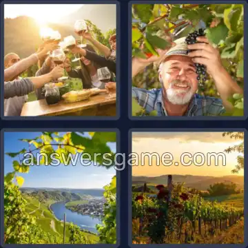 4 Bilder 1 Wort 8 Buchstaben WEINBERG